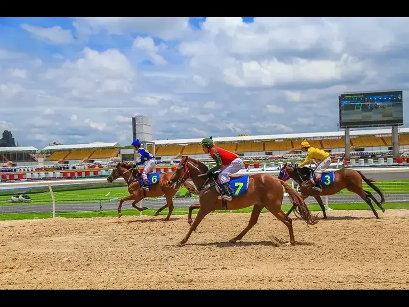 Cách thức cá cược tại giải đua ngựa Kentucky Derby